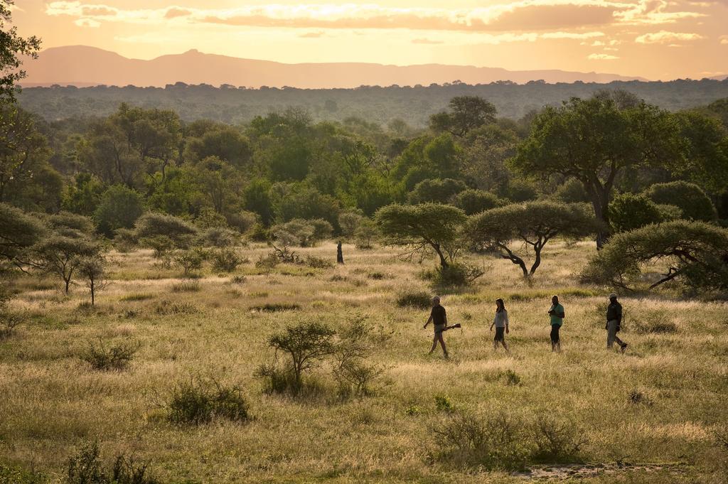 Lion Sands River Lodge Sabi Sand Game Reserve Eksteriør billede