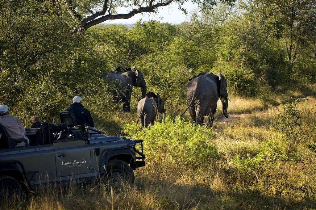 Lion Sands River Lodge Sabi Sand Game Reserve Eksteriør billede
